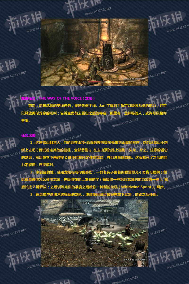 《上古卷轴5：天际》强档攻略