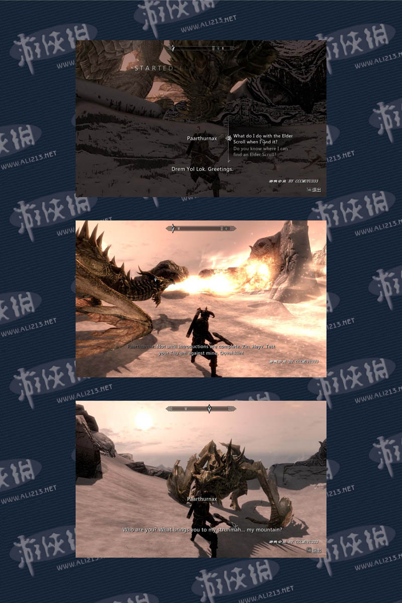 《上古卷轴5：天际》强档攻略