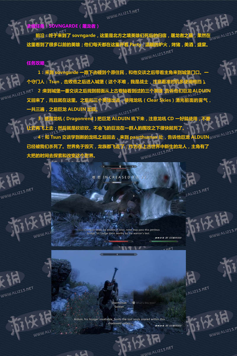 《上古卷轴5：天际》强档攻略