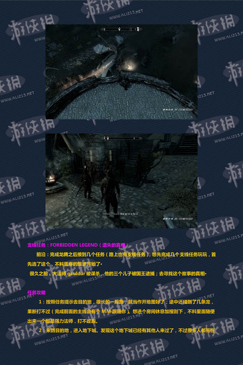 《上古卷轴5：天际》强档攻略