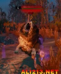 《巫师3：狂猎》怪物图鉴一览攻略（巫师3 怪物图鉴）