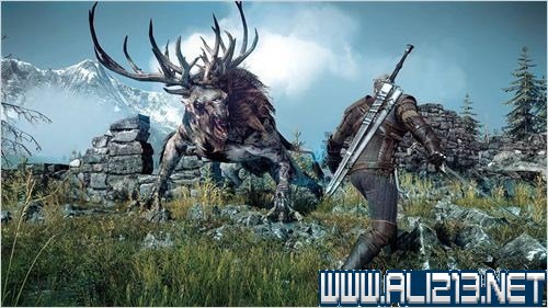 《巫师3:狂猎》图文流程攻略 巫师3狂猎全任务攻略