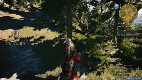 《巫师3：狂猎》引诱叉尾龙任务过关攻略 艾斯凯尔留下的踪迹在哪