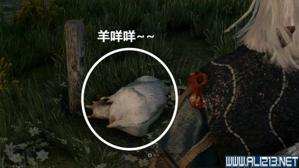 《巫师3:狂猎》图文流程攻略 主线+分支任务 序章