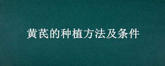 黄芪的种植方法及条件（黄芪的种植方法及条件海拔多少米）