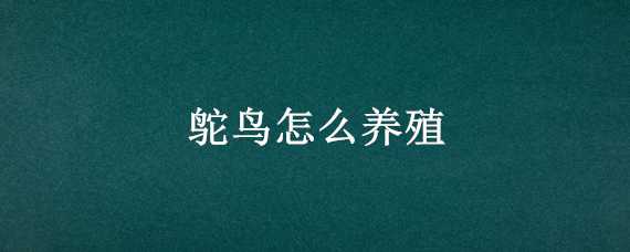 鸵鸟怎么养殖（鸵鸟怎么养殖技术）