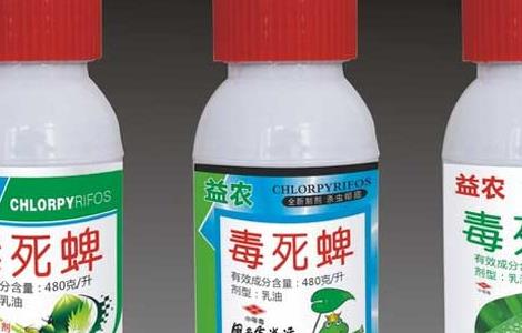 毒死蜱的使用方法（毒死蜱说明书毒死蜱）
