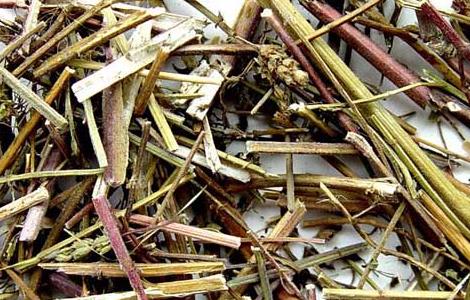 荆芥的功效与作用（荆芥的功效与作用的功能与主治与用量）