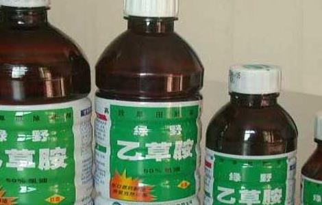 乙草胺的作用对象和功效 乙草胺的作用与功能?