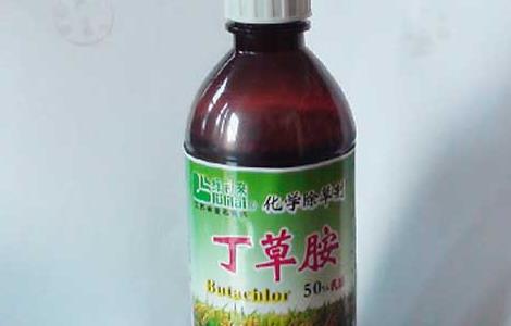 丁草胺的使用注意事项（丁草胺的使用注意事项有哪些）