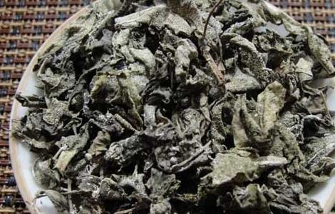 溪黄草的功效与作用 溪黄草的功效与作用图片