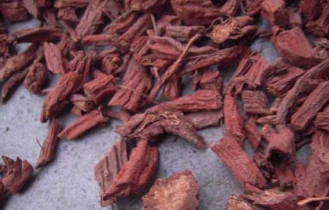 丹参泡水喝的功效 丹参泡水喝的五大禁忌