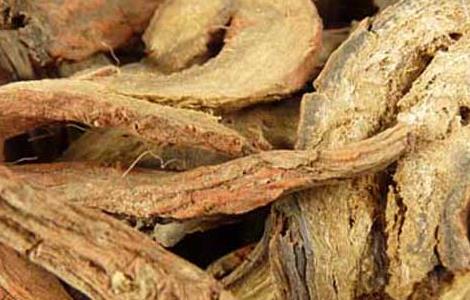 丹参的功效与作用 丹参的功效与作用及用法