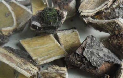 合欢皮的功效与作用(合欢皮的功效与作用及副作用)