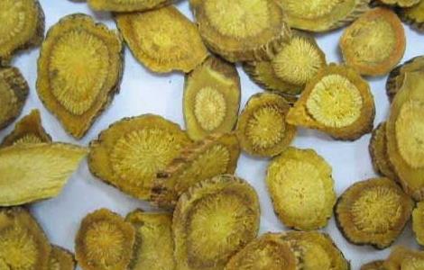 黄芩茶的功效与作用（黄芩茶的功效与作用及食用方法）