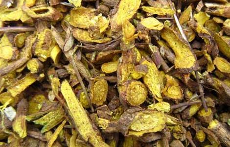 黄芩泡水喝的功效(黄芪黄精黄芩泡水喝的功效)