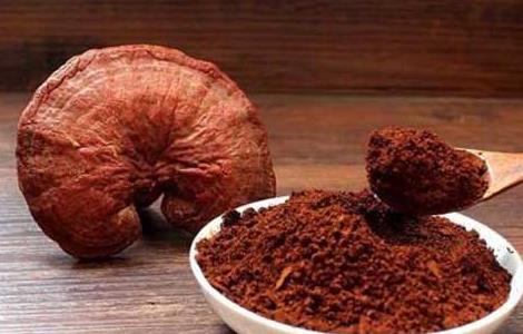 灵芝孢子粉的功效与作用 灵芝孢子油的功效与作用