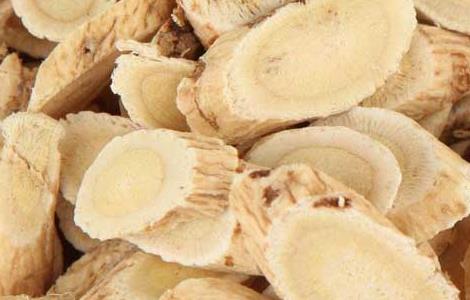 黄芪泡水喝功效和禁忌(黄芪泡水喝功效和禁忌症)