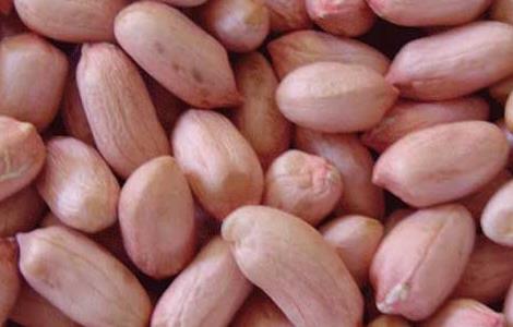 花生衣的功效与作用（花生衣的功效与作用及副作用禁忌）