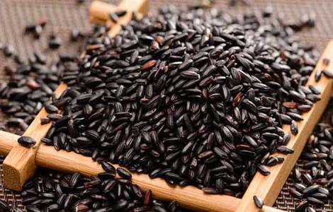 黑米产地在哪里 黑米的出产地