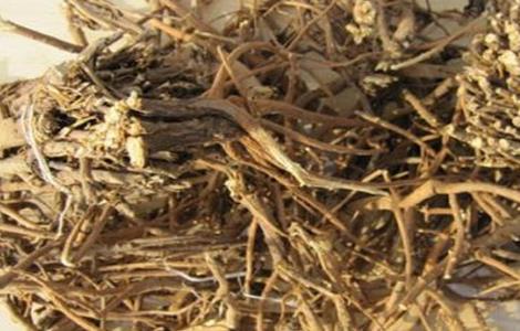 柴胡的种植时间及方法