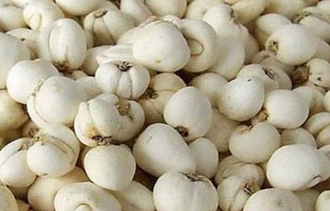 贝母种植的注意事项 种植贝母应该注意事项是什么