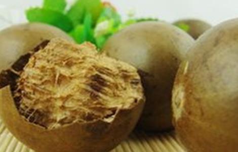 罗汉果该怎么种（罗汉果该怎么种才能发芽）