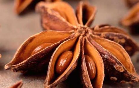 八角种植需要注意些什么(八角种植需要注意些什么呢)