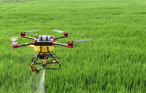 微量元素肥施用注意事项（微量元素肥料施用的注意事项）