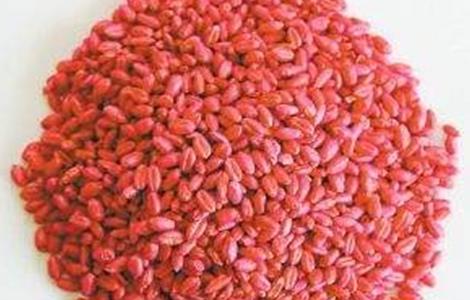 小麦拌种要注意些什么 小麦拌种要注意些什么细节