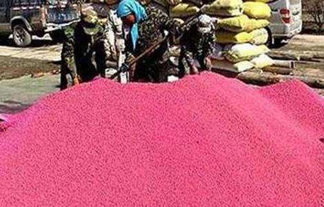 小麦种子播种前处理（小麦播种的种子处理）