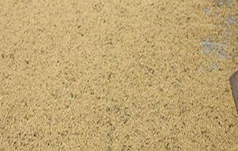 大豆储藏注意事项（大豆储藏方法）