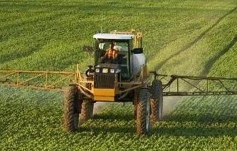 大豆除草方法及注意事项 大豆除草方法及注意事项视频