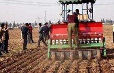 小麦播种过深该如何补救 小麦播种过深怎么补救