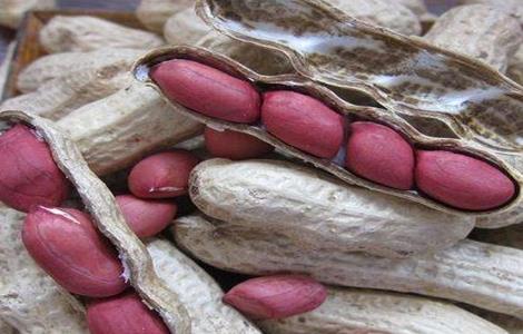 影响花生种子发芽因素有哪些（影响花生种子发芽因素有哪些方面）