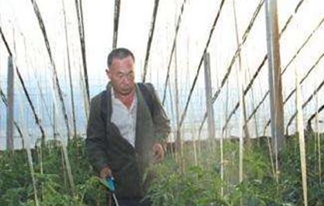 叶面肥种类和使用方法 叶面肥施用指南