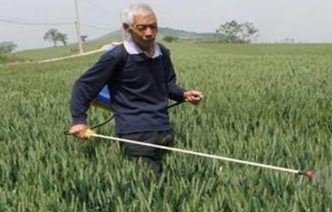 常用叶面肥种类 叶面肥全部种类及作用