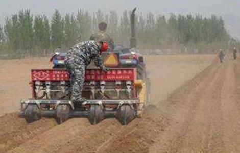 影响玉米播种时间的因素（影响玉米播种时间的因素有）