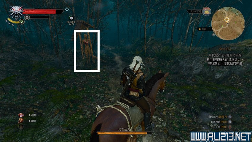 《巫师3:狂猎》图文流程攻略 主线+分支任务 序章