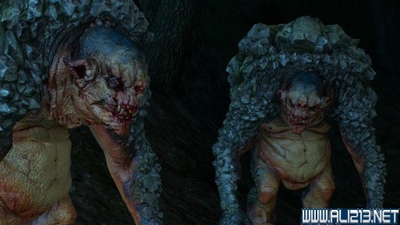 《巫师3:狂猎》图文流程攻略 主线+分支任务 序章