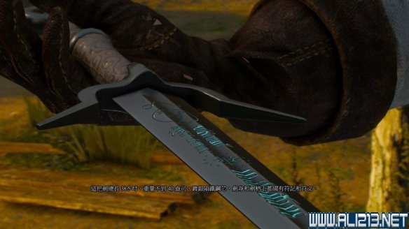 《巫师3:狂猎》图文流程攻略 主线+分支任务 序章