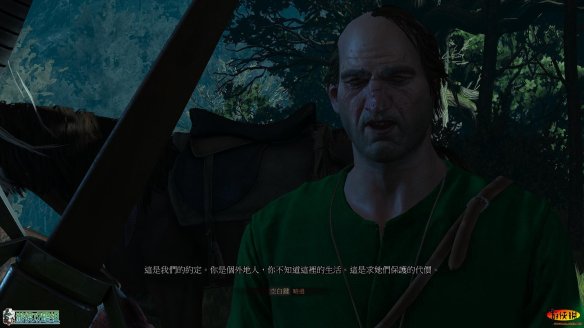 《巫师3：狂猎》图文攻略 主线任务+支线任务+狩猎任务+操作介绍+技能说明 操作介绍