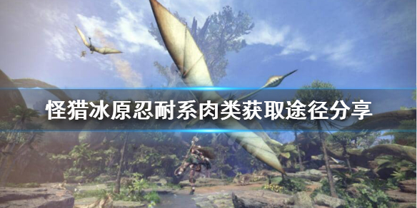 怪猎冰原忍耐系肉类怎么获得 怪物猎人冰原属性耐性