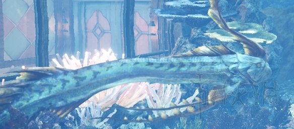 怪物猎人世界冰原白金怎么达成 怪物猎人世界冰原全白金攻略_网