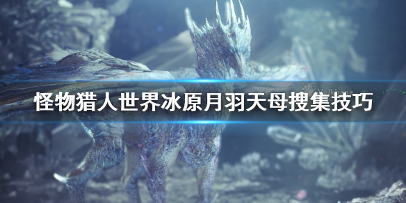 怪物猎人世界冰原月羽天母怎么抓（怪物猎人世界月羽天母位置）