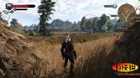 《巫师3:狂猎》植被及阴影渲染距离修改教程解析攻略