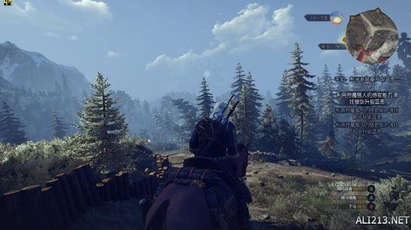 《巫师3：狂猎》A卡帧数提升方法（巫师3高帧率）