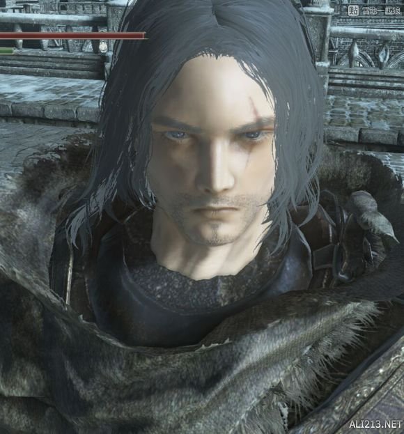 《黑暗之魂3》大盾大剑开荒心得(黑魂3怎么对付大盾)