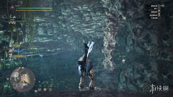 怪物猎人世界冰原路珊瑚台地全宝箱位置介绍 路珊瑚台地宝箱_网