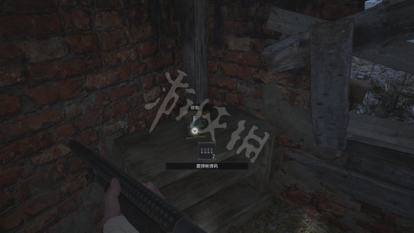 生化危机8文件收集攻略详解 地图全蓝及技巧心得分享 序章